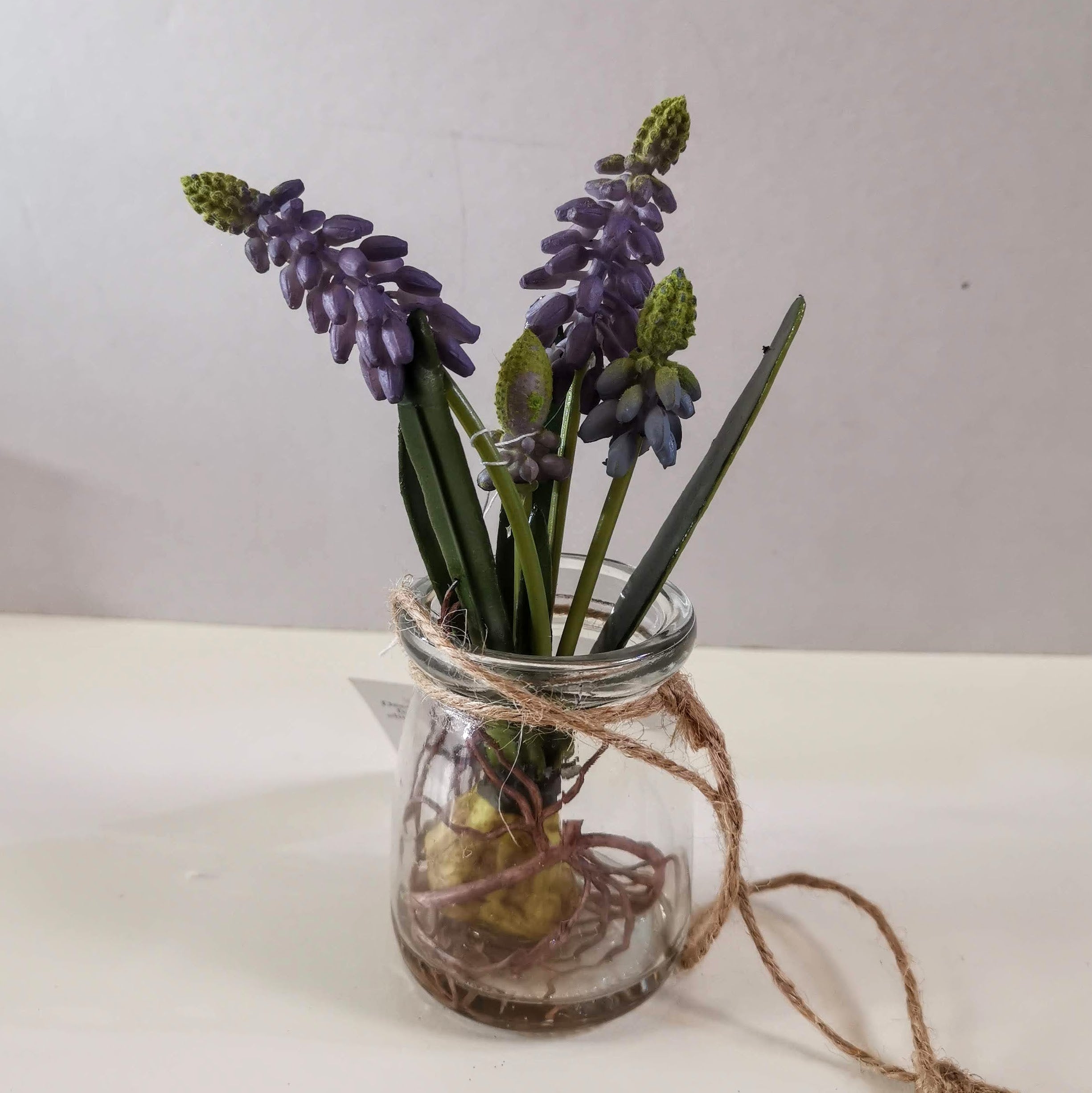 Purple Hyacinth In A Jar